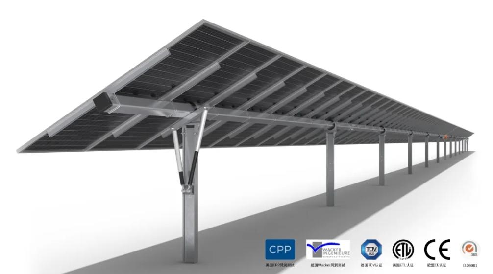 AG旗舰厅(中国)官方网站官网